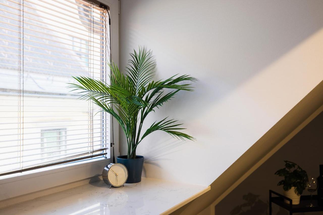 Apartamento New *